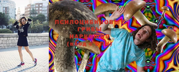 твердый Козловка