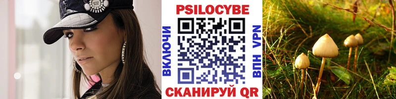 хочу наркоту  Бутурлиновка  Псилоцибиновые грибы GOLDEN TEACHER 